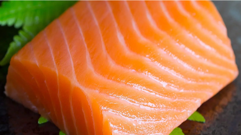 Fresh Atlantic Salmon (Saku)  Size: 8oz | サーモン（カナダ産　重量 8oz）